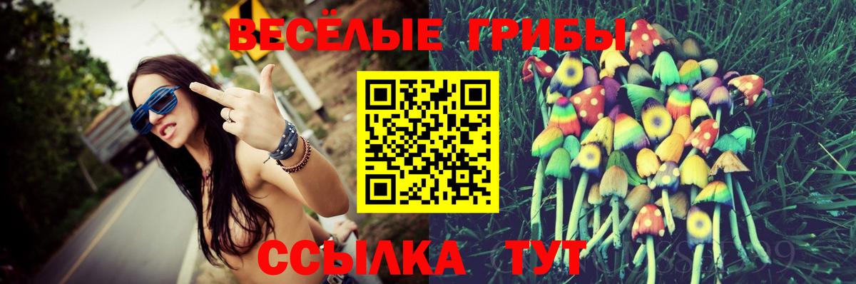 Галлюциногенные грибы Psilocybine cubensis Котлас