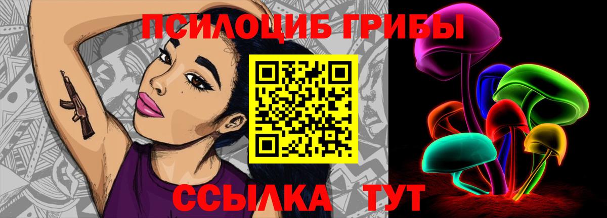 Котлас  Псилоцибиновые грибы Cubensis  Вход с VPN 
